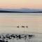 Port Lincoln Caravan Park