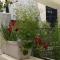 LEmpire DEssences Appartement