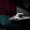 Falkensteiner Boutique Hotel Prague