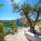 Asion Lithos Suites with Private Pools