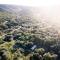 Quatermain's 1920's Safari Camp