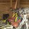 Chalet T12 inclusief fietsen, Zee en Strand op loopafstand! - 比伦