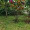 Wagi Villa " Free pickup from kandy" - 康提