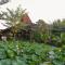 Ubud Art Resort