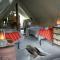 Quatermain's 1920's Safari Camp – Amakhala Game Reserve - 阿马卡拉保护区
