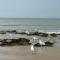 Orfeo Knokke
