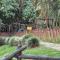 Apartment tower in the middle of a forest, 2 bed - Енвіґадо