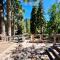 Snowy Paws - Pet Friendly - Alpine Meadows - Amazing views, close to slopes