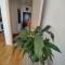 Apartman Aleksic