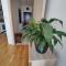 Apartman Aleksic