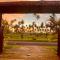 Turtle Bay Beach House