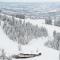 Aspen Ritz-Carlton 3 Bedroom Penthouse Ski In, Ski Out Residence With Unbeatable Access To Aspen Highlands Ski Slopes - 阿斯潘