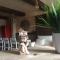 Luxury Danna Plaza Mayor