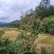 Onel Rest Inn - Ella