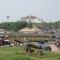 Purple Springs Elmina #1