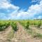 Villa in France with Vineyards and Nature Views