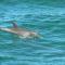 Waterfront Jervis Bay Escape Cooinda