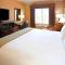 Comfort Inn & Suites Dallas Medical-Market Center