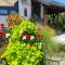 Guesthouse Vila