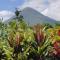Volcano View Oasis Arenal - Fortuna
