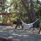 Cooks Club Ialysos Rhodes