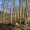 Close to Hesnæs forest and beach - Horbelöv