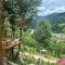 Panoramic Escape - Broşteni