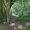 Calme et verdure 9