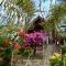 Jungle Paradise