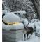 SnowCrystal home with Jacuzzi and Sauna - 罗瓦涅米