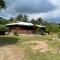 Heliconia Grove