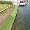 Lakeside Wevelgem