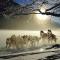 DV Chalet Boutique Hotel & Spa