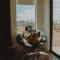 Desert Lumina Pickleball Game Room Jacuzzi - Joshua Tree