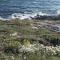 ruta dos faros Corme - Puerto Galicia playa - 孔门波尔多 ruta dos faros Corme - Puerto Galicia playa - 孔门波尔多