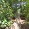 New Caribe Point