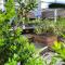 3BR Cottage in the Heart of Bellingen - Hosted by Canstay