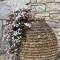 Olive Grove House Paxos Loggos