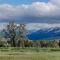 Yellowstone Crest Lodge - ليفينغستون