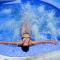 Hotel RH Riviera - Adults Only