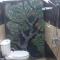 MUM Jungle Inn