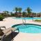 Mesa Palms Ferro