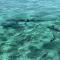 White Sands Cove G04- Partial Ocean View 1 BR by Stay Floreo - 圣佩德罗
