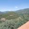 Endless Green, Hidden Gem in the Mountains - Artemisía