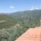 Endless Green, Hidden Gem in the Mountains - Artemisía