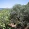 Endless Green, Hidden Gem in the Mountains - Artemisía
