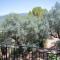 Endless Green, Hidden Gem in the Mountains - Artemisía