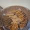 Diafa Saadet Serviced Apartments- Qurtopa 1