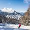 Chalet Papillon by Interhome - Nendaz