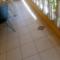 Mumatt’s Guesthouse